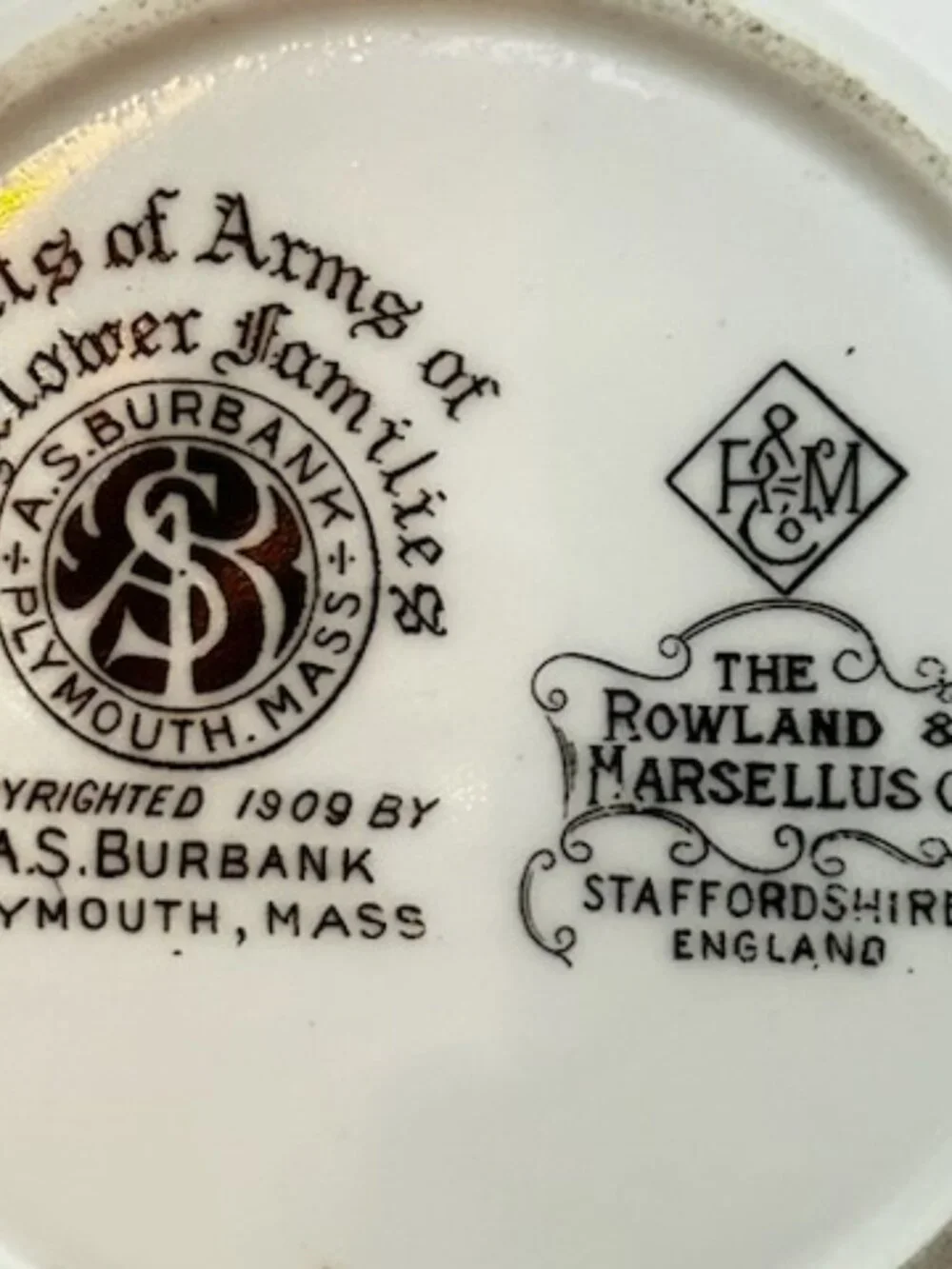 Rare Antique Souvenir Plate of Mayflower Family Coat of Arms of the 9 families